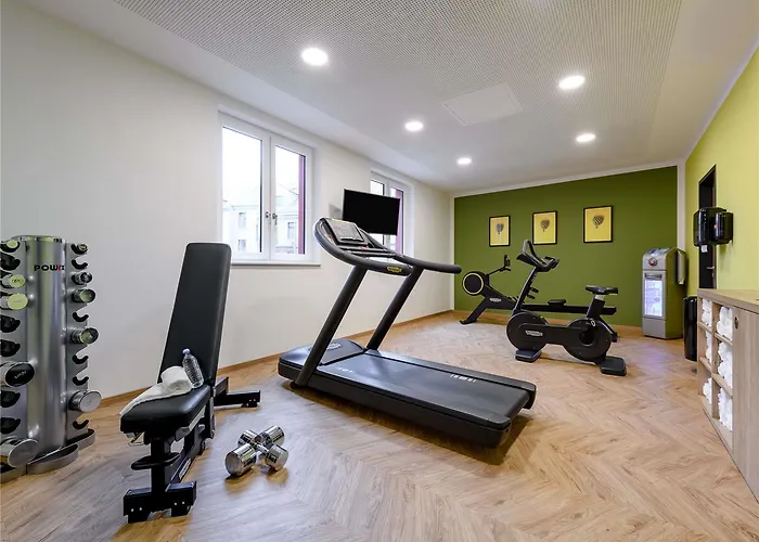 Ibis Styles فندق أشافنبورغ